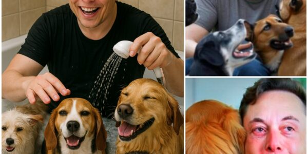 Elon Musk’s Heartwarming Act: Elon Musk’s inspiring act of kindness, from rescuing a dog to donating $10 million for animal relief efforts. Let’s see what this money has done in terms of meaning. – ws