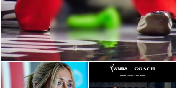 SHOCKING REVELATION: Riley Gaines Unveils the WNBA’s Hidden ‘Sex Toy’ Scandal — And a Coach’s Secret Plan to End It Once and For All!