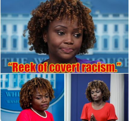 SHOCKING STATEMENT: Karine Jean-Pierre’s Explosive Claim on Immigration Sparks Nationwide Firestorm