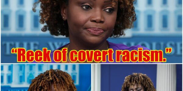 SHOCKING STATEMENT: Karine Jean-Pierre’s Explosive Claim on Immigration Sparks Nationwide Firestorm