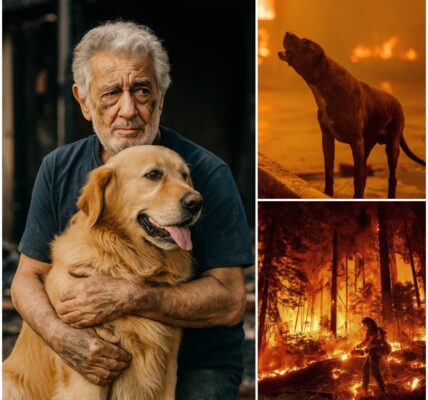 BREAKING: "I saw the FLAMES and heard the CRIES”: Plácido Domingo breaks his silence, heroically rescuing a DOG ORPHANED by the devastating GIFFORD FIRE on California’s CENTRAL COAST — a touching tale of COMPASSION and HOPE that has touched millions.