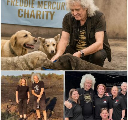 Brian May Supports California Wildfire Animal Relief Under Freddie Mercury’s Name: A Surprising and Touching Gesture
