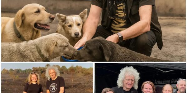 Brian May Supports California Wildfire Animal Relief Under Freddie Mercury’s Name: A Surprising and Touching Gesture
