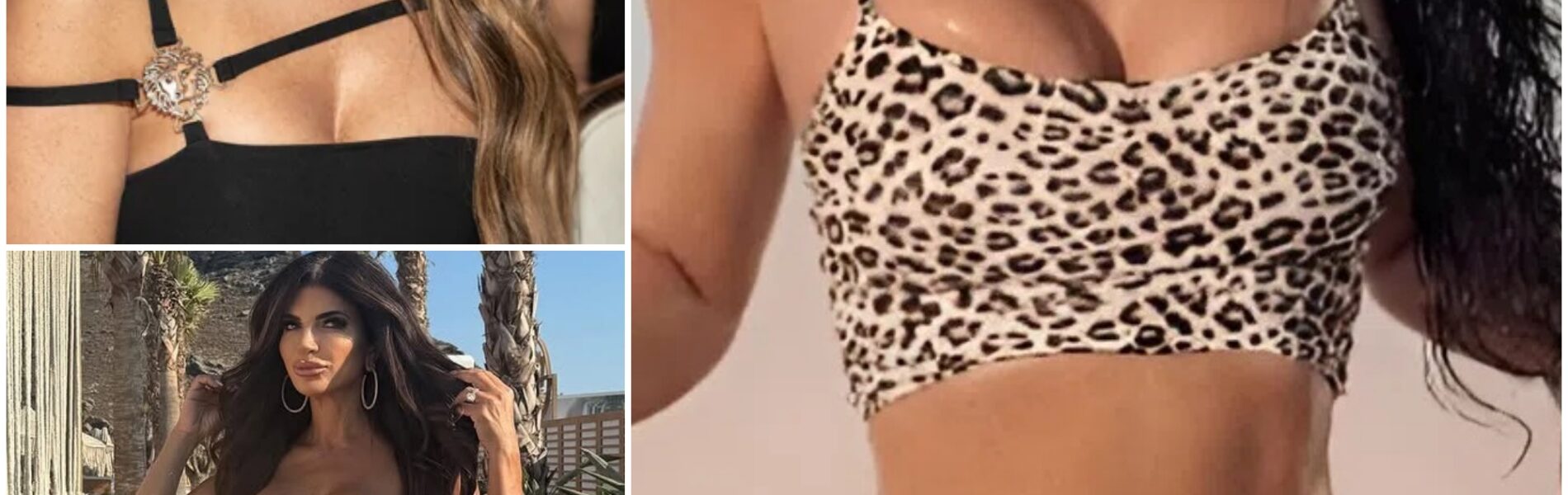 HOT PHOTOS: RHONJ fans go crazy and say "I have goosebumps" after seeing Teresa Giudice flaunt a daring leopard print bikini on the beach that fans have never seen before...