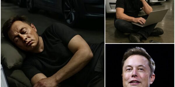 "In 2018, Every Expert Predicted Tesla Would Go Bankrupt—Mercedes Said ‘By Summer,’ BMW Claimed They’d Never Mass Produce, Wall Street Called It a ‘Production Nightmare’—But Then Elon Musk Moved Into the Factory With Nothing but a Pillow, Started Firing Managers, Calling Suppliers at 3 A.M., Fixing Cars With His Own Hands, and What Happened Next Shocked Every CEO in the Auto Industry"