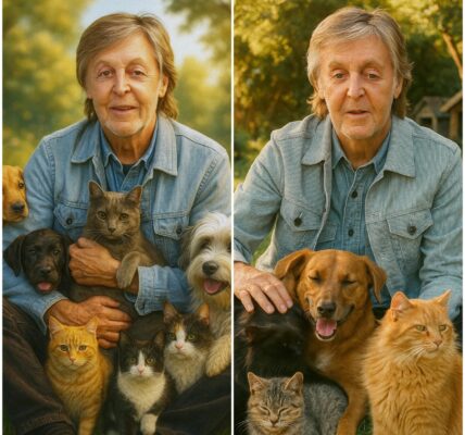 Paul McCartney’s Unexpected Mission: Turning Concert Profits Into a Sanctuary for Stray Animals