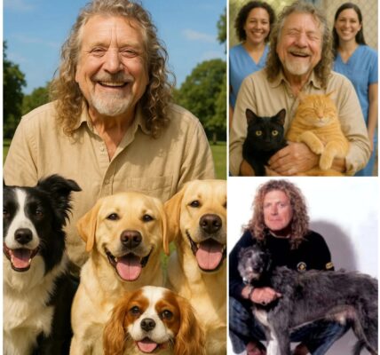 BREAKING NEWS: Robert Plant sets the internet ablaze with a heartfelt announcement, revealing plans to invest $10 million to build a “paradise” for stray dogs and cats. He vows to rescue thousands of abandoned animals