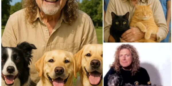 BREAKING NEWS: Robert Plant sets the internet ablaze with a heartfelt announcement, revealing plans to invest $10 million to build a “paradise” for stray dogs and cats. He vows to rescue thousands of abandoned animals
