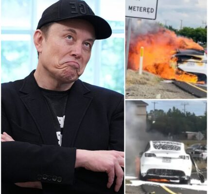 A man tragically lost his life in a fire while driving a Tesla, and Elon Musk is now facing significant criticism. One of these criticisms is even impacting his family.