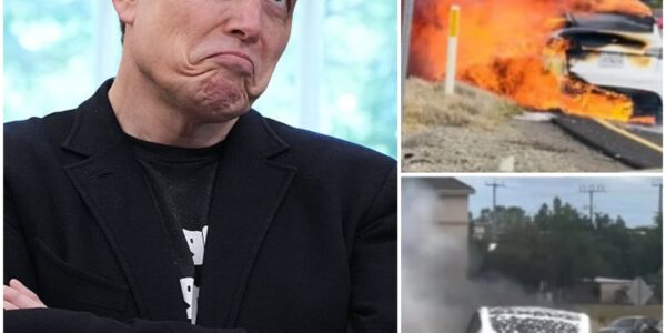 A man tragically lost his life in a fire while driving a Tesla, and Elon Musk is now facing significant criticism. One of these criticisms is even impacting his family.