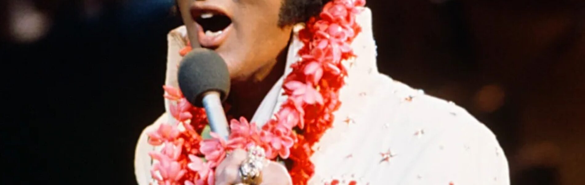 “From Karate Kicks to Rhinestone Glory: The Untold Story Behind Elvis Presley’s Jumpsuits – How a Bold Fashion Gamble Became the King’s Ultimate Stage Weapon, Why His Tailor Protected His Masculinity at All Costs, and the Hidden Symbolism Sewn into Every Stitch”