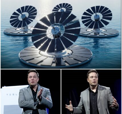 Elon Musk’s Floating Solar Islands: Can They Revolutionize Clean Energy in Norway’s Harsh Climate?