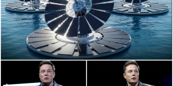 Elon Musk’s Floating Solar Islands: Can They Revolutionize Clean Energy in Norway’s Harsh Climate?