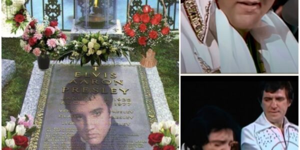 Elvis Presley – Unchained Melody