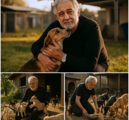 Plácido Domingo Surprises Fans by Rescuing Abandoned Dogs — “Every Soul Deserves a Second Chance”