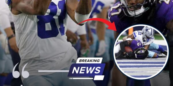 Devastating Blow: Jonathan Mingo’s Promising Season Cut Short by “Career-Ending” Injury in Opening Game