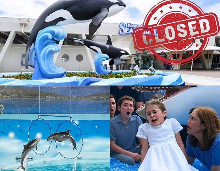 SAD NEWS: After a killer whale suddenly @tt@ck3d Jessica's daughter, all the criticism poured in, forcing the aquarium to close permanently, leaving thousands of sea creatures helpless — but behind that tragedy was a truth that has never been revealed