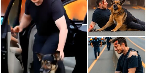 Elon Musk’s Near-Death Car Fire: How a Heroic Dog Sparked the Tesla Revolution