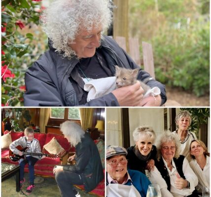 Brian May Reflects on Life, Legacy, and Facing Mortality