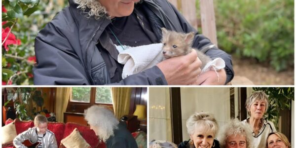 Brian May Reflects on Life, Legacy, and Facing Mortality