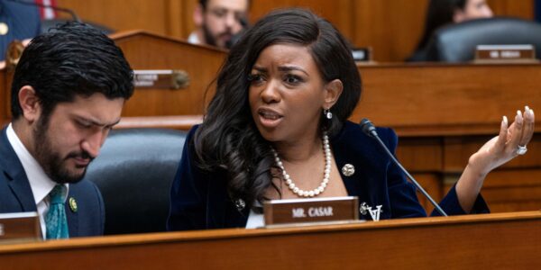 Jasmine Crockett Was Right About Elon Musk!