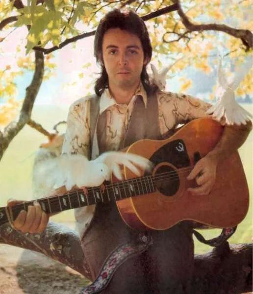 Paul McCartney & Wings – The Untamed Spirit of “Wild Life”