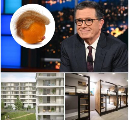 Another Kind of Win — Stephen Colbert’s $5 Million Gift to Light the Winter Night