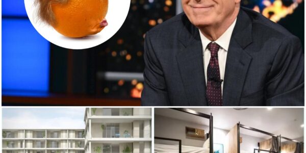 Another Kind of Win — Stephen Colbert’s $5 Million Gift to Light the Winter Night