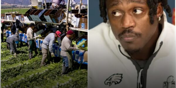 BREAKING: A.J. Brown Turns Down $18 Million Sponsorship Deal Over Treatment of Pennsylvania Farmers