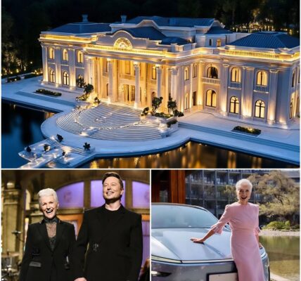 BREAKING: ELON MUSK TRANSFORMS HIS MOTHER’S HUMBLE HOME INTO A MASTERPIECE. No cameras. No red carpets. Just Musk’s quiet decision to turn Maye’s modest suburban house into something breathtaking. Neighbors were stunned — and the internet can’t believe the final tribute he left behind.