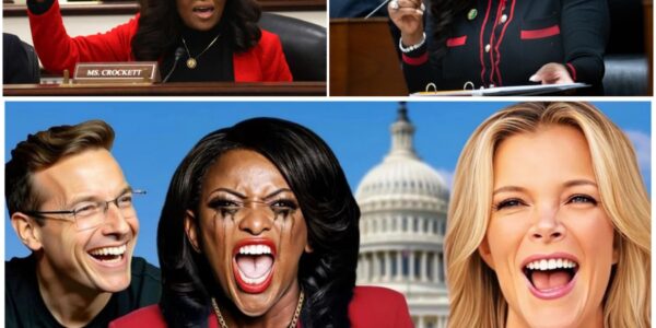 Megyn Kelly’s Televised Takedown of Jasmine Crockett: The Showdown That Shook American Politics