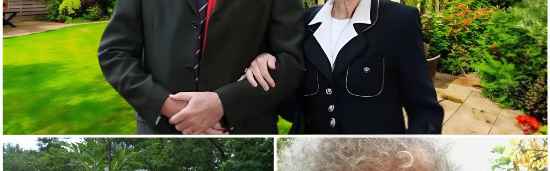 From Rock Anthems to Wildlife Rescue: How Brian May Turned His Surrey Home into a Sanctuary