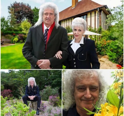 From Rock Anthems to Wildlife Rescue: How Brian May Turned His Surrey Home into a Sanctuary