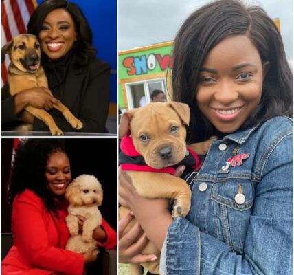Dogtopia: Jasmine Crockett’s $5 Million Gift to America’s Forgotten Dogs