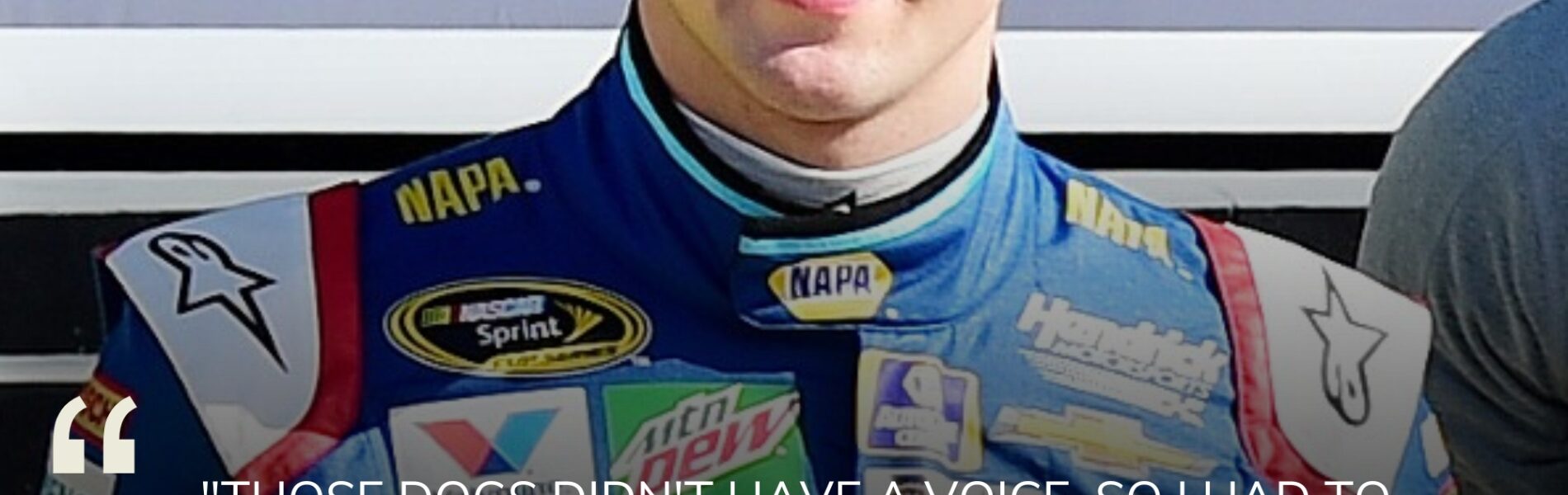 🚨BREAKING: Chase Elliott Rescues 19 Dogs from Euthanasia in Heartfelt Labor Day Operation