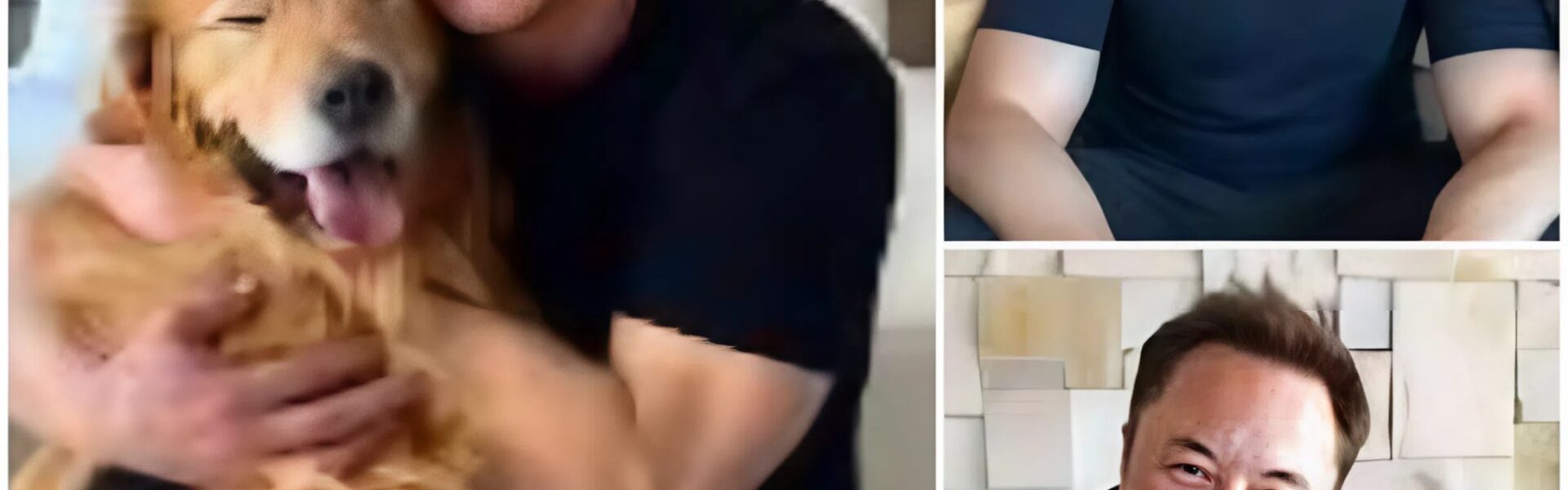 🚨 BREAKING NEWS: Elon Musk Leads Emotional Rescue, Saves 19 Dogs from Euthanasia Over Labor Day Weekend