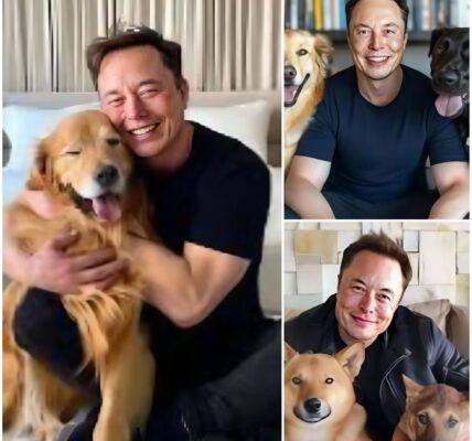🚨 BREAKING NEWS: Elon Musk Leads Emotional Rescue, Saves 19 Dogs from Euthanasia Over Labor Day Weekend