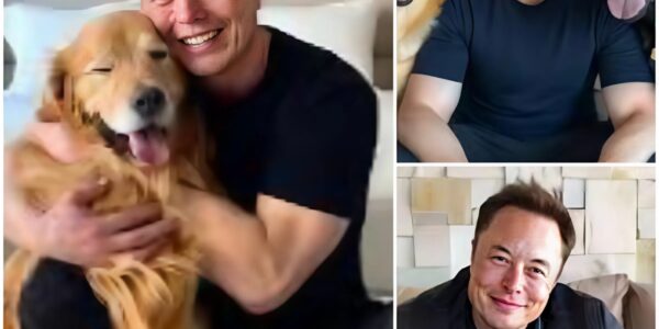 🚨 BREAKING NEWS: Elon Musk Leads Emotional Rescue, Saves 19 Dogs from Euthanasia Over Labor Day Weekend