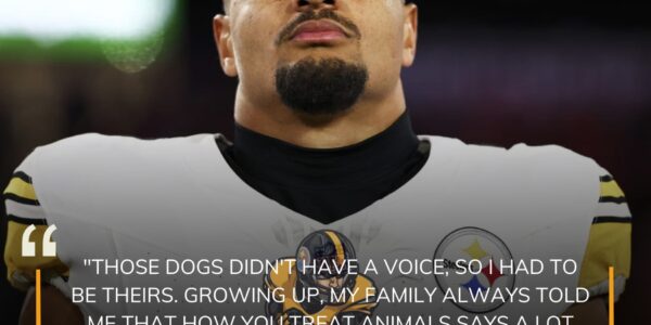 BREAKING: Minkah Fitzpatrick Rescues 19 Dogs from Euthanasia in Heartfelt Labor Day Operation