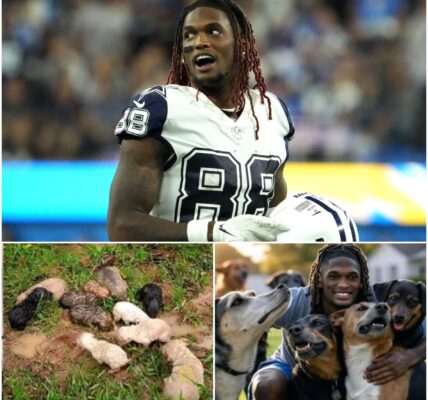 BREAKING: CeeDee Lamb’s $10 Million Play for Puppies Stuns the NFL World