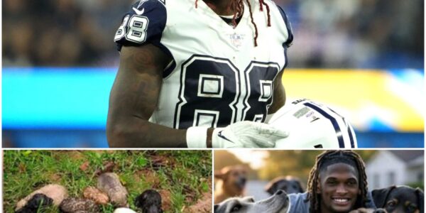 BREAKING: CeeDee Lamb’s $10 Million Play for Puppies Stuns the NFL World