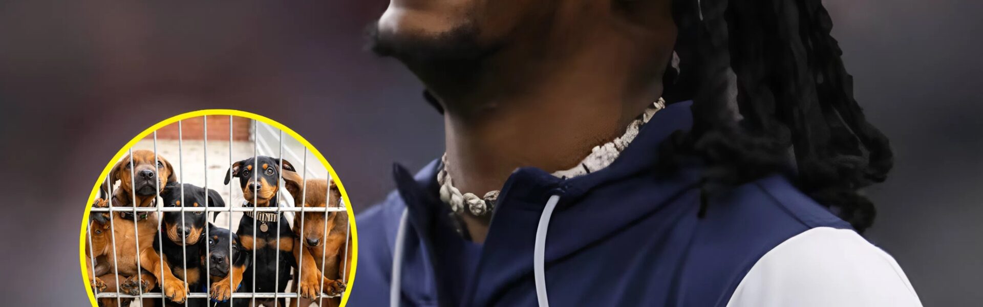 HEART OF A HERO: CeeDee Lamb Rescues 19 Dogs From Euthanasia in Life-Changing Labor Day Weekend Mission