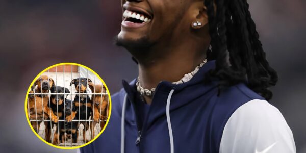 HEART OF A HERO: CeeDee Lamb Rescues 19 Dogs From Euthanasia in Life-Changing Labor Day Weekend Mission