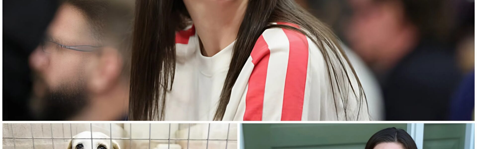 Caitlin Clark’s Heroic Labor Day Rescue: WNBA Star Saves 19 Dogs From Euthanasia, Inspires a Nation