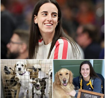 Caitlin Clark’s Heroic Labor Day Rescue: WNBA Star Saves 19 Dogs From Euthanasia, Inspires a Nation