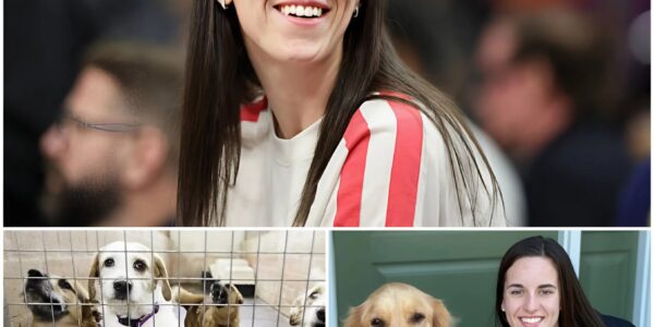 Caitlin Clark’s Heroic Labor Day Rescue: WNBA Star Saves 19 Dogs From Euthanasia, Inspires a Nation