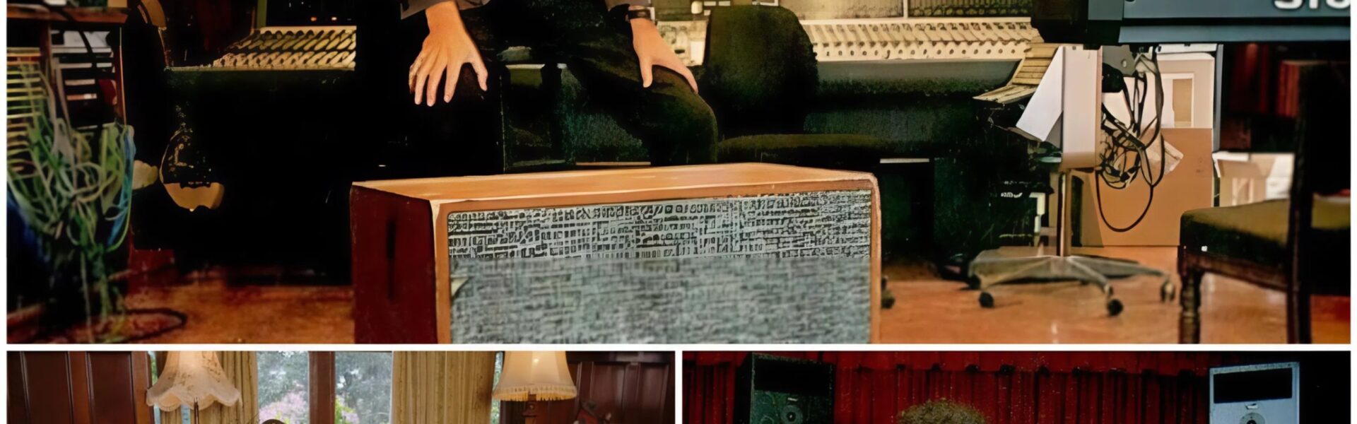 From Rock Legend to Wildlife Guardian: Brian May Turns His Garden into a Haven for Animals