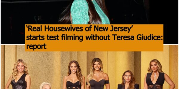 “There are potential new cast members who filmed with Margaret Josephs, Dolores Catania and Melissa Gorga in mid-August,” a source revealed.