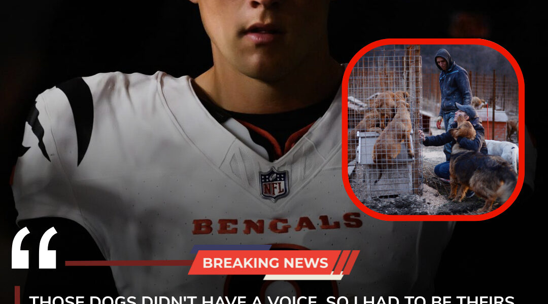 HEARTWARMING: Bengals Superstar Joe Burrow Saves 19 Dogs From Euthanasia in Emotional Labor Day Weekend Rescue