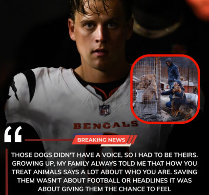 HEARTWARMING: Bengals Superstar Joe Burrow Saves 19 Dogs From Euthanasia in Emotional Labor Day Weekend Rescue